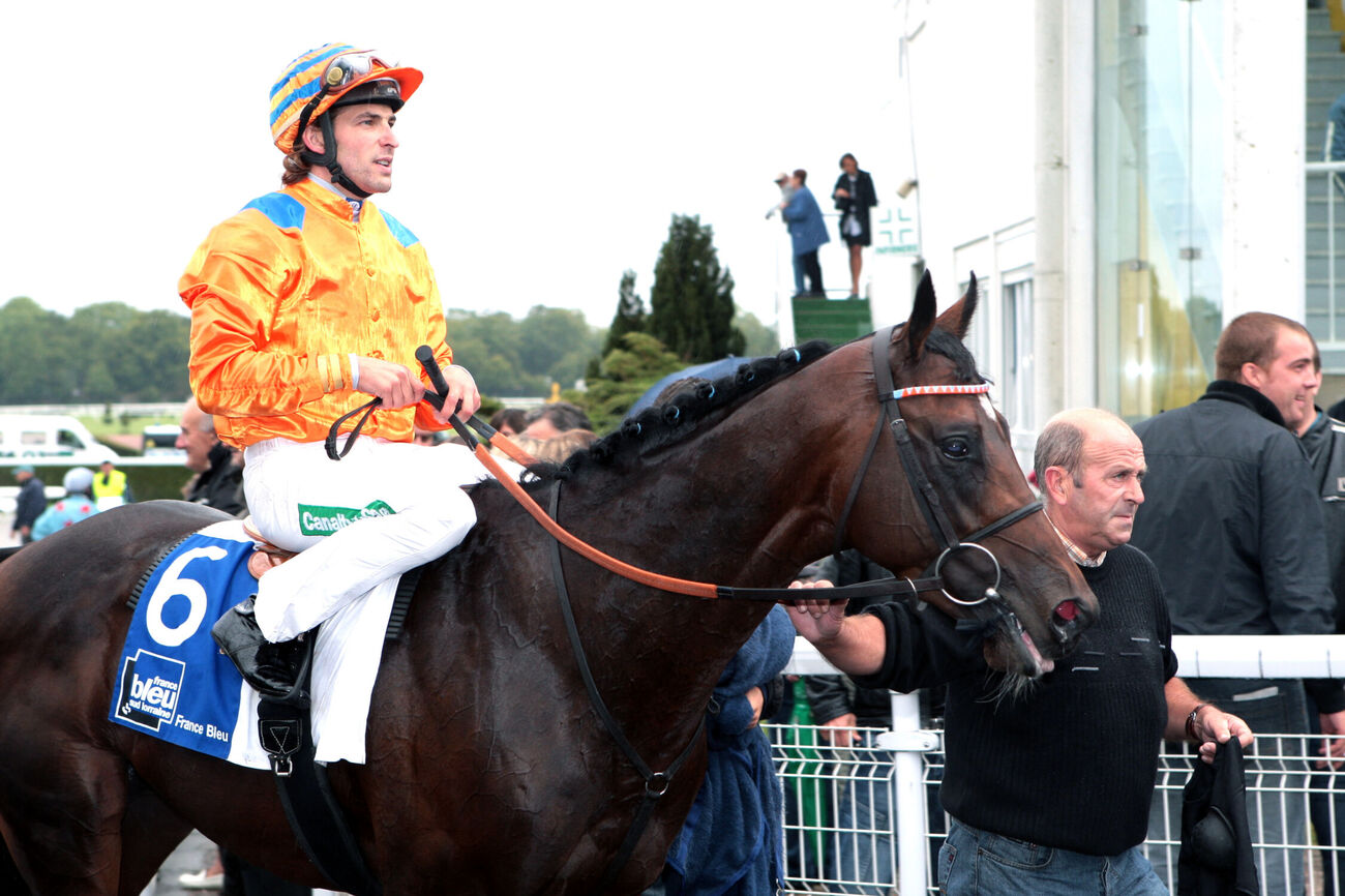 DARIELLI - Cheval de Galop