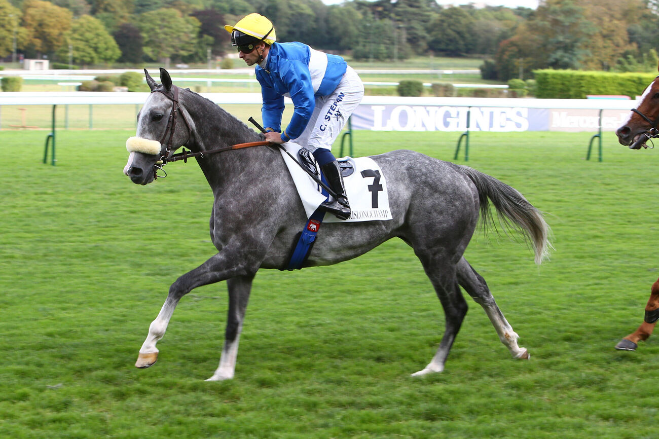 SAINT NICOLAS - Cheval de Galop